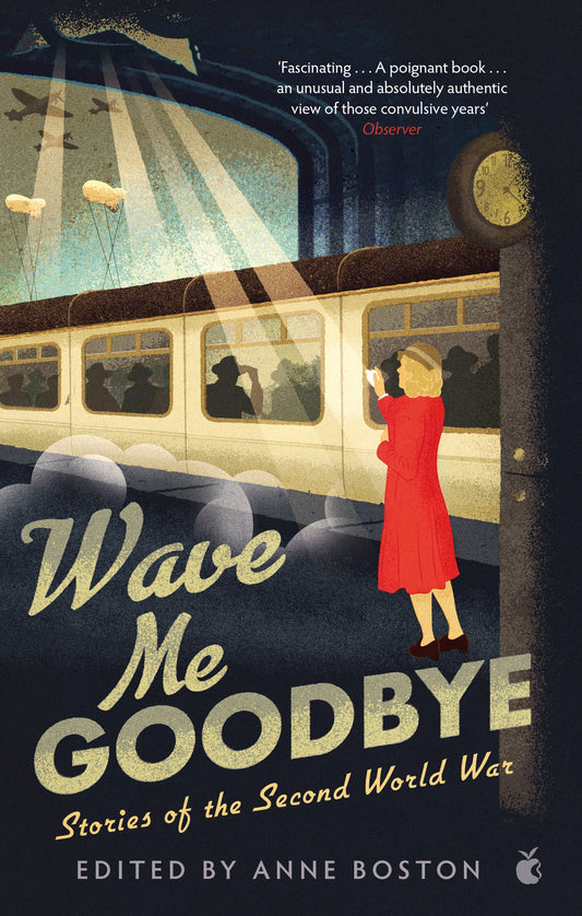 Wave Me Goodbye by Anne Boston