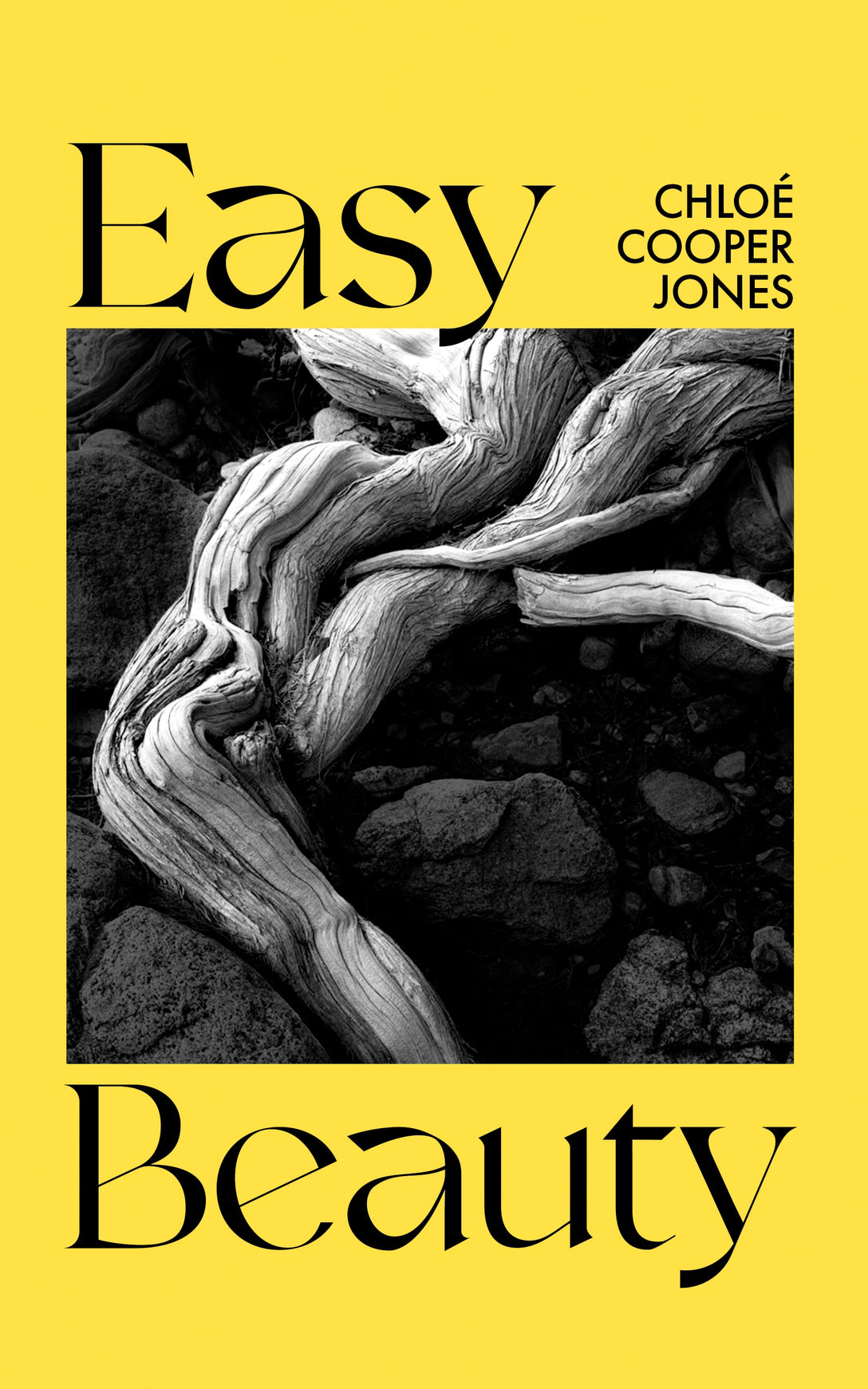 Easy Beauty by Chloé Cooper Jones