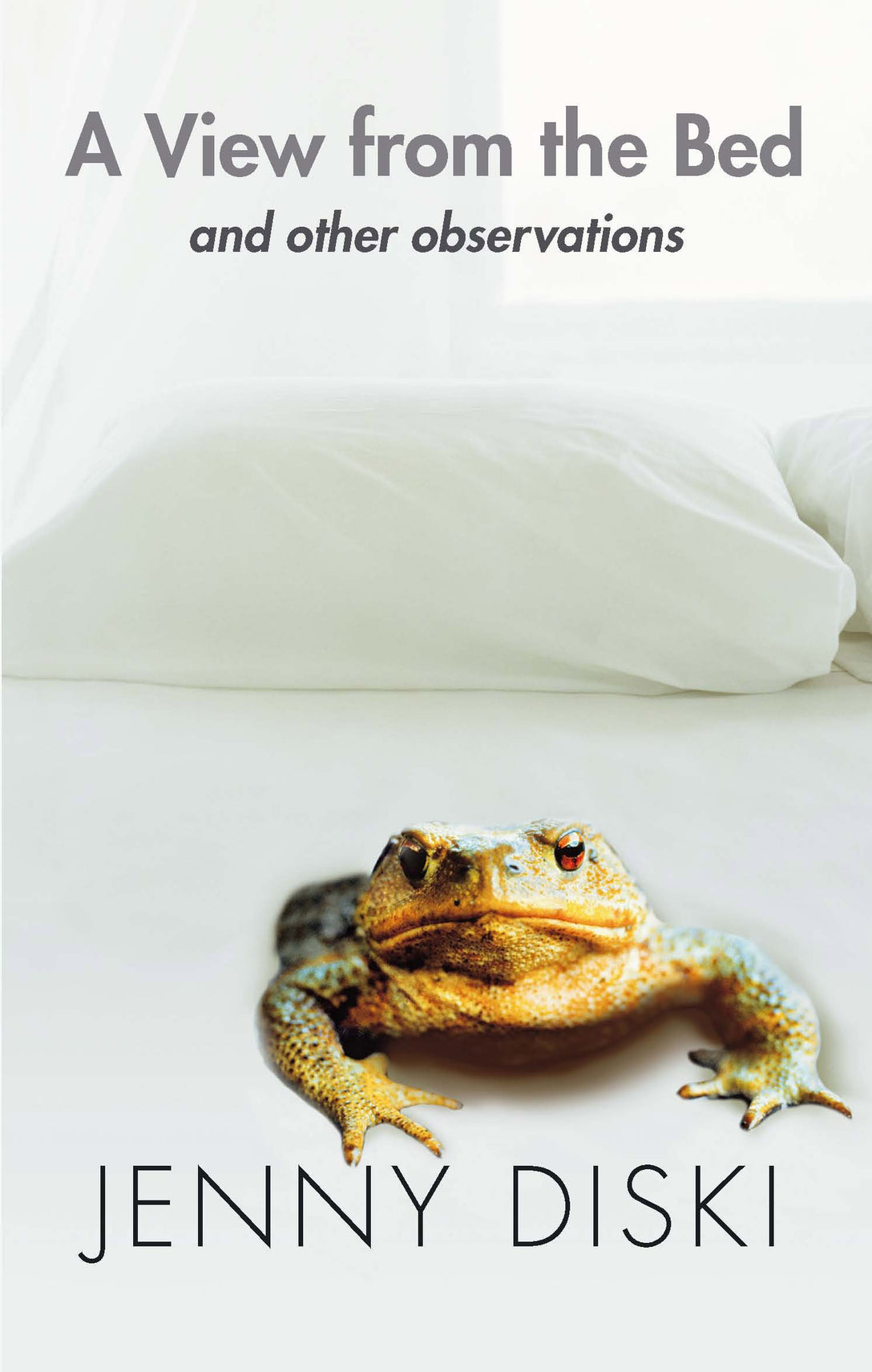 A View From The Bed And Other Observations by Jenny Diski