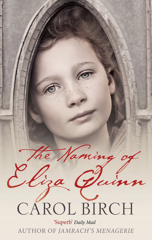 The Naming Of Eliza Quinn by Carol Birch