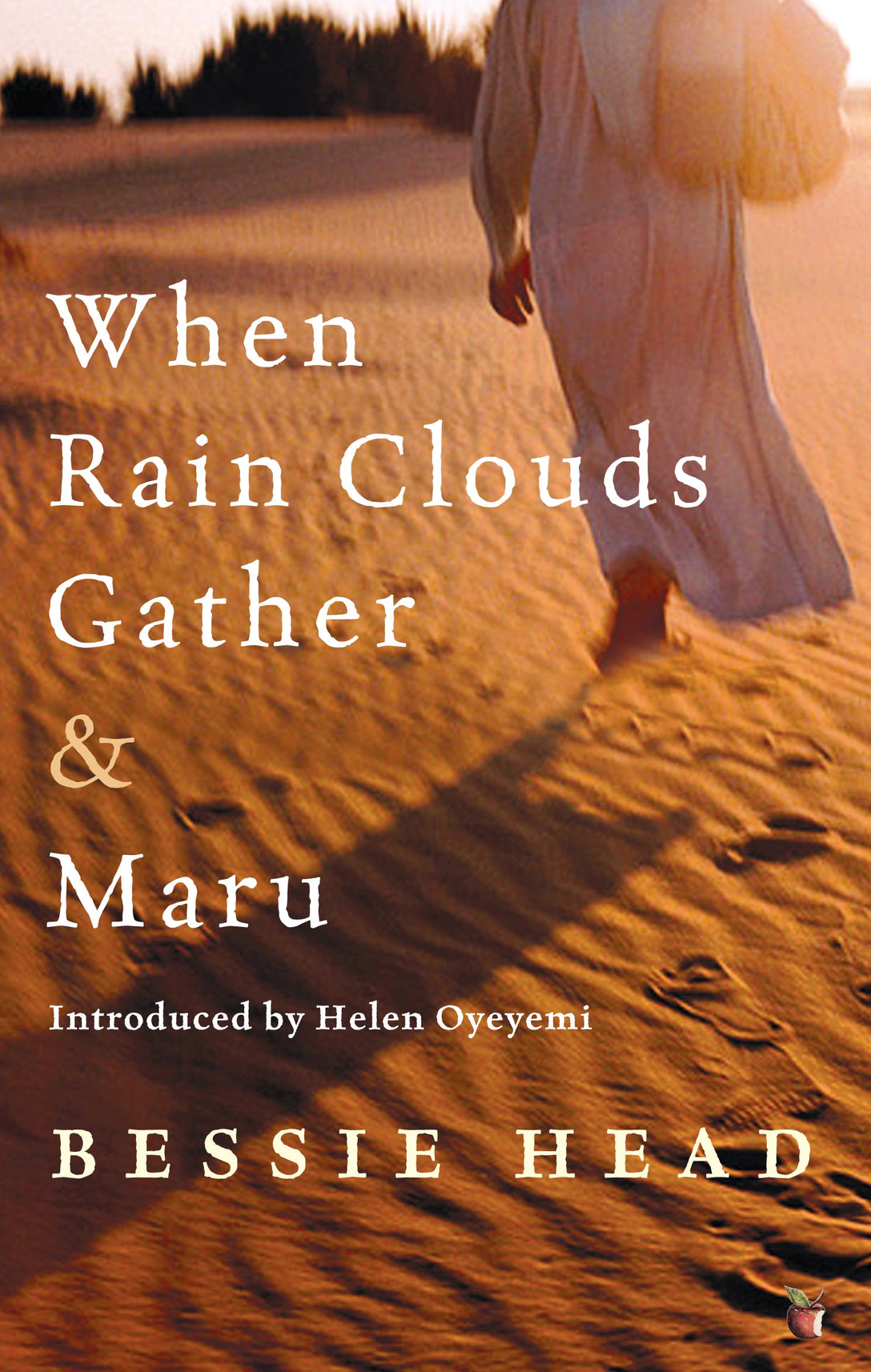 When Rain Clouds Gather And Maru by Bessie Head