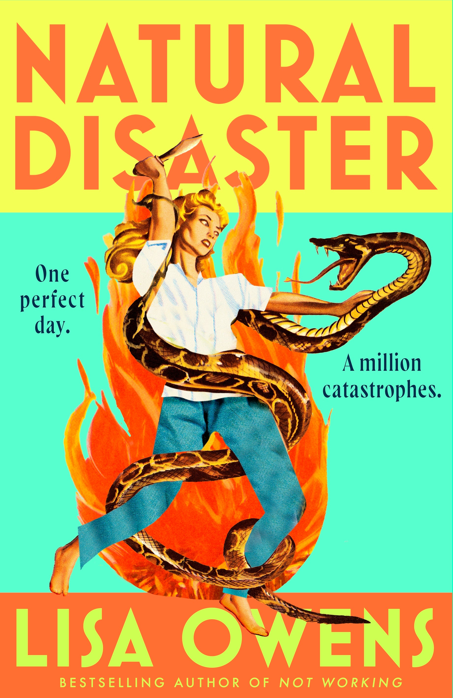 Natural Disaster by Lisa Owens