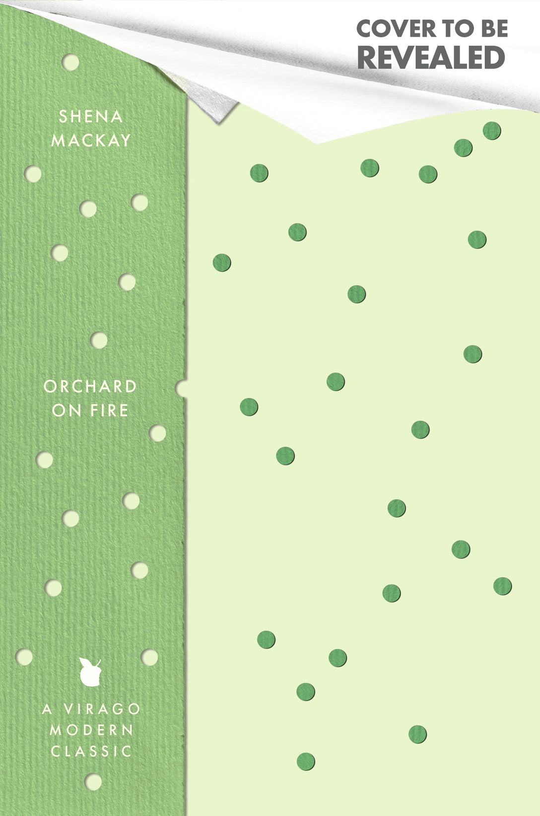 The Orchard on Fire by Shena Mackay