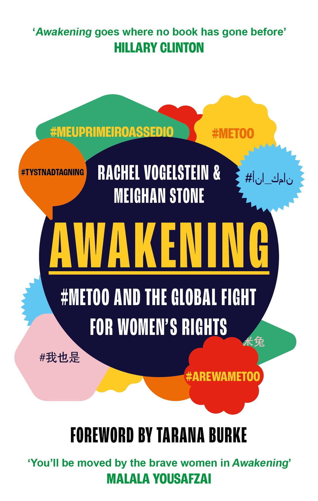 Awakening by Meighan Stone, Rachel B. Vogelstein
