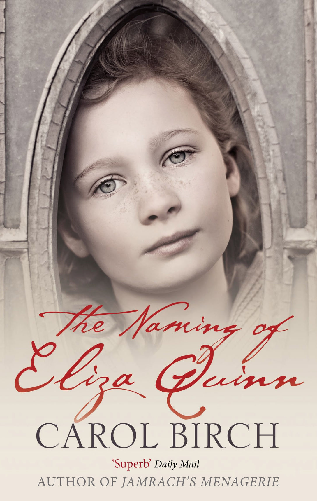 The Naming Of Eliza Quinn by Carol Birch