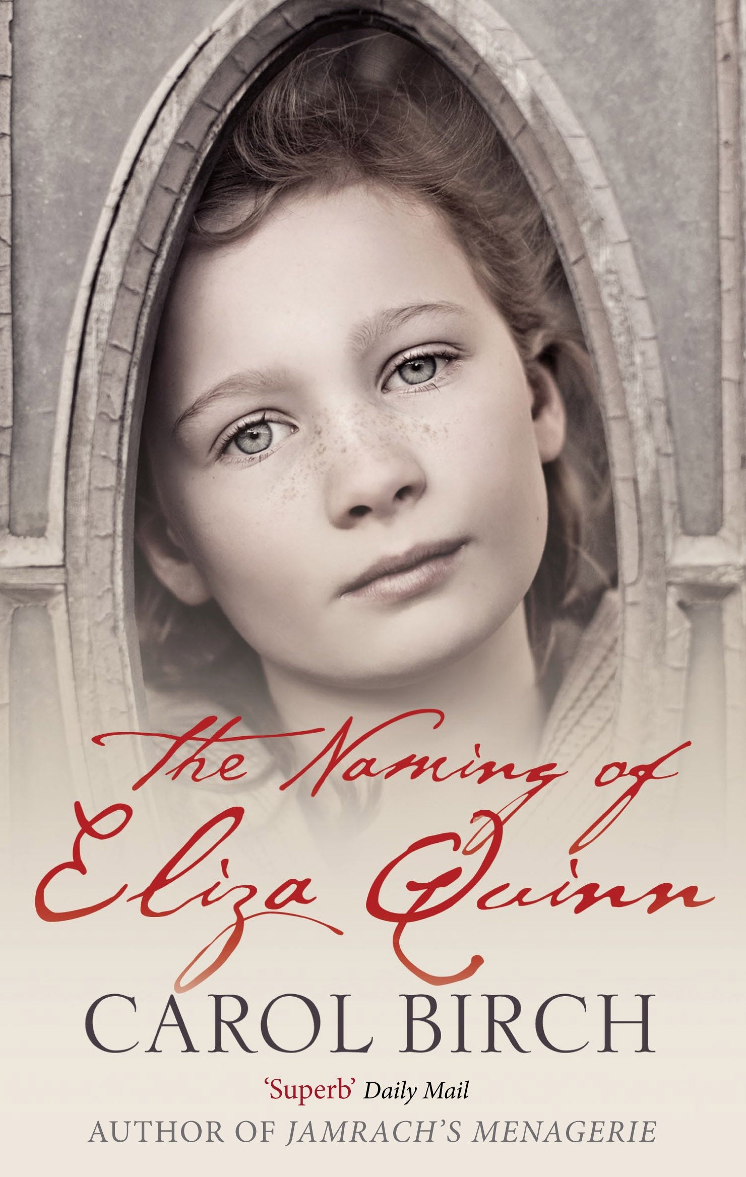 The Naming Of Eliza Quinn by Carol Birch