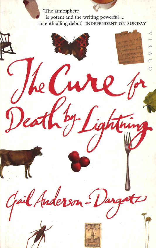 The Cure For Death By Lightning by Gail Anderson-Dargatz